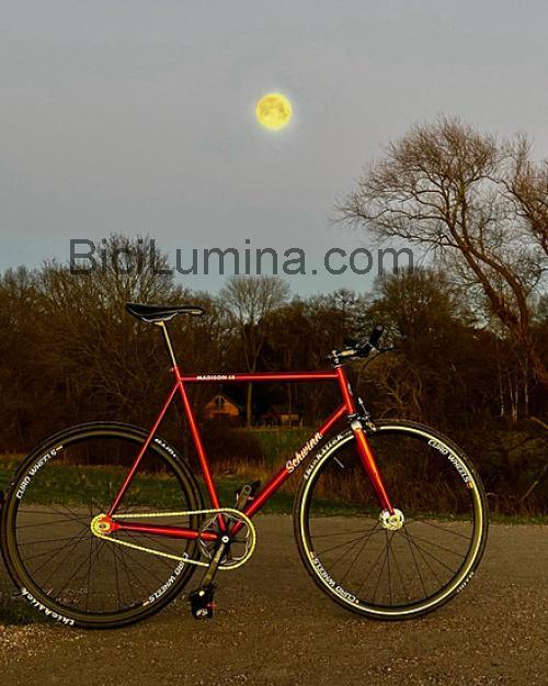 Schwinn Madison ficha técnica y opiniones